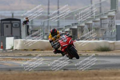 media/Mar-02-2025-Race Pace (Sun) [[8bec80ae00]]/12-Vested (Turn 2) 1111am/